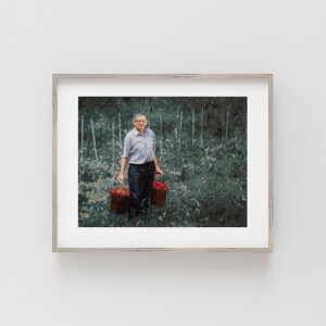 Summer Tomatoes LIMITED EDITION PRINT