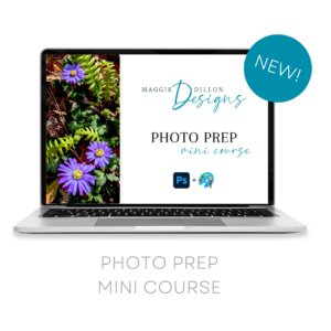 Photo Prep Mini Course